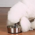 Pamperedpets Stainless Steel Bowl with Rubber Base 88oz PA2632672